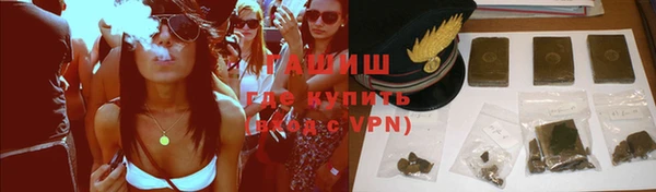 индика Алзамай
