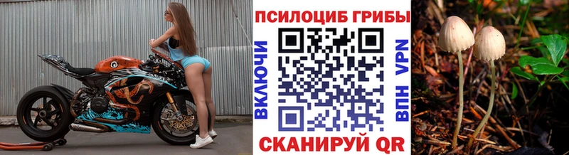 Псилоцибиновые грибы MAGIC MUSHROOMS  Черепаново 